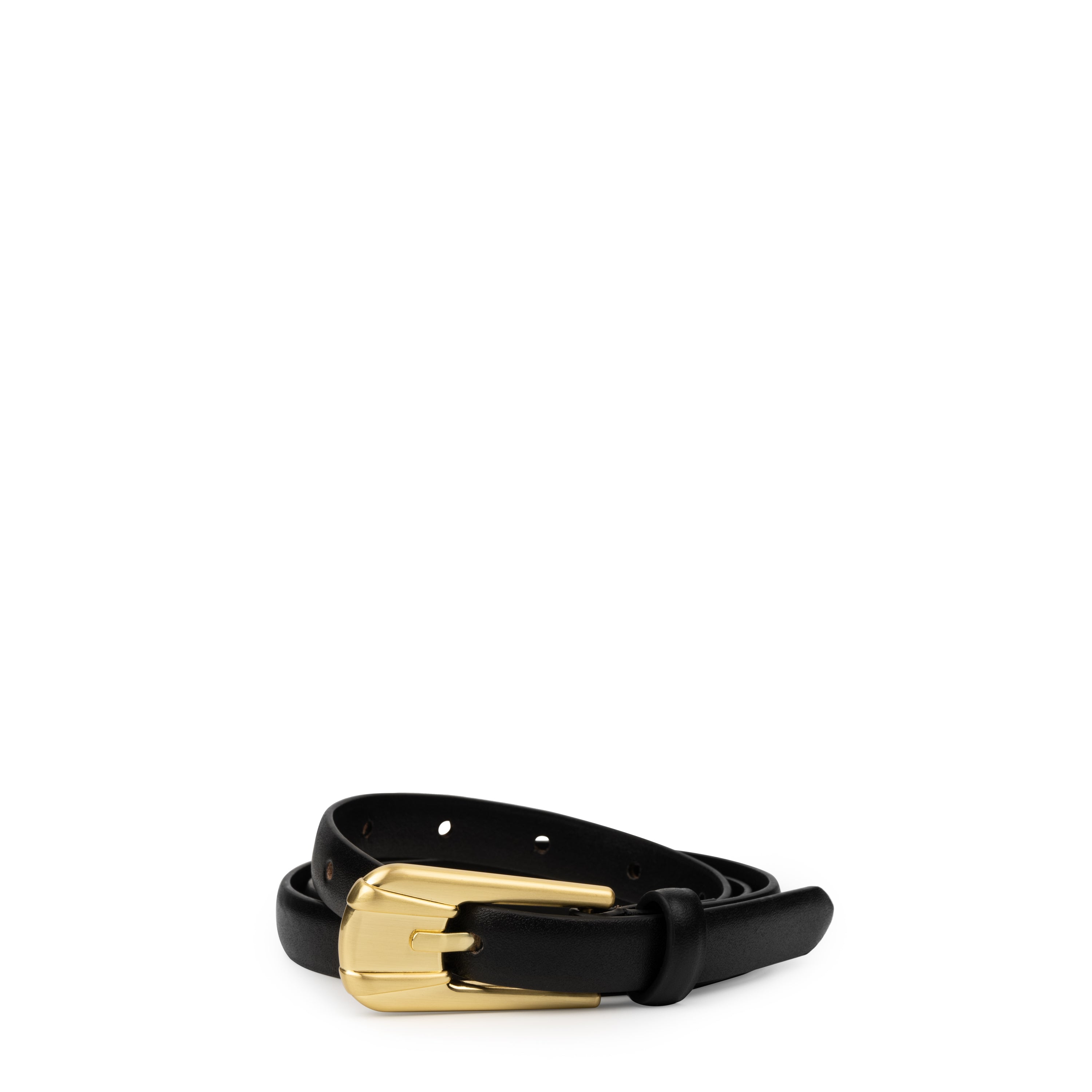 THE CARINI BELT