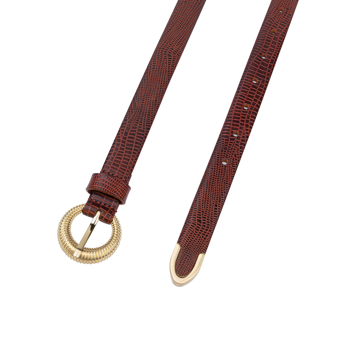 THE LOTKA BELT