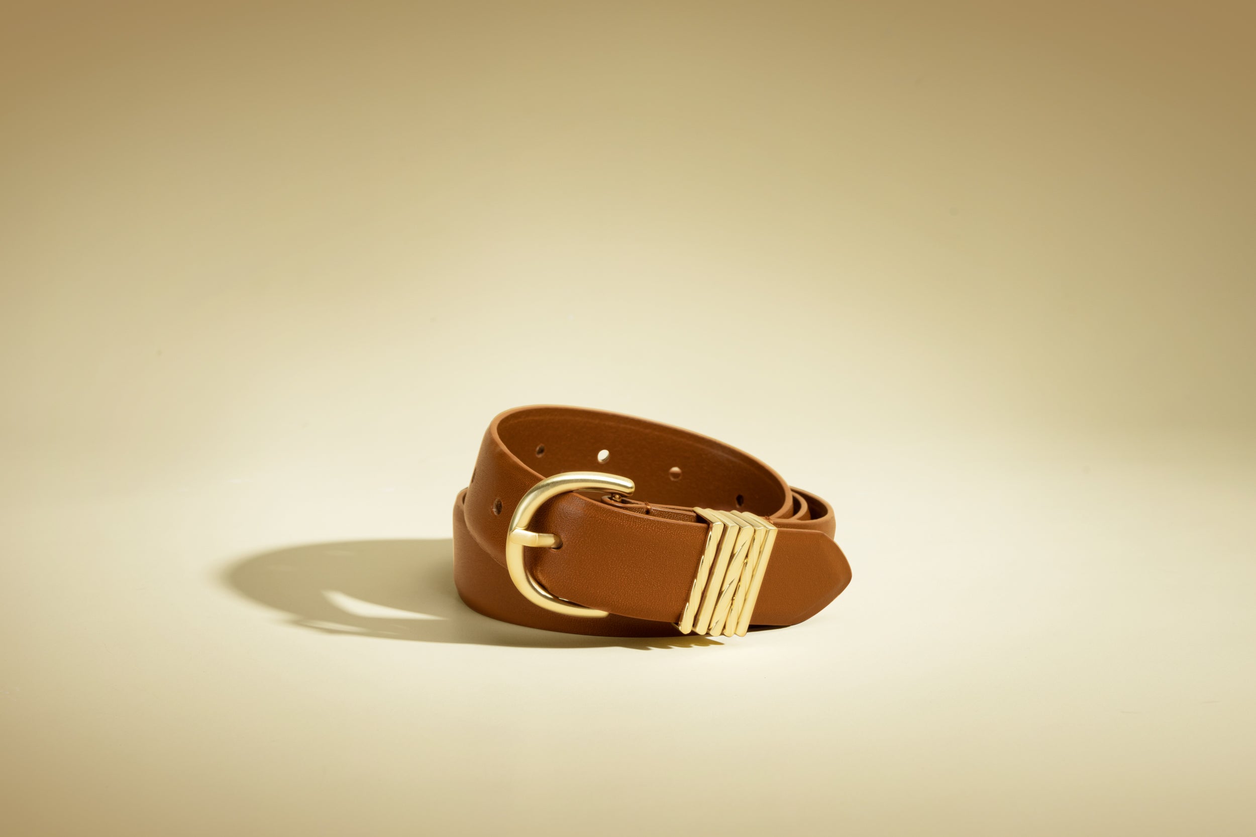 THE ERNICA BELT