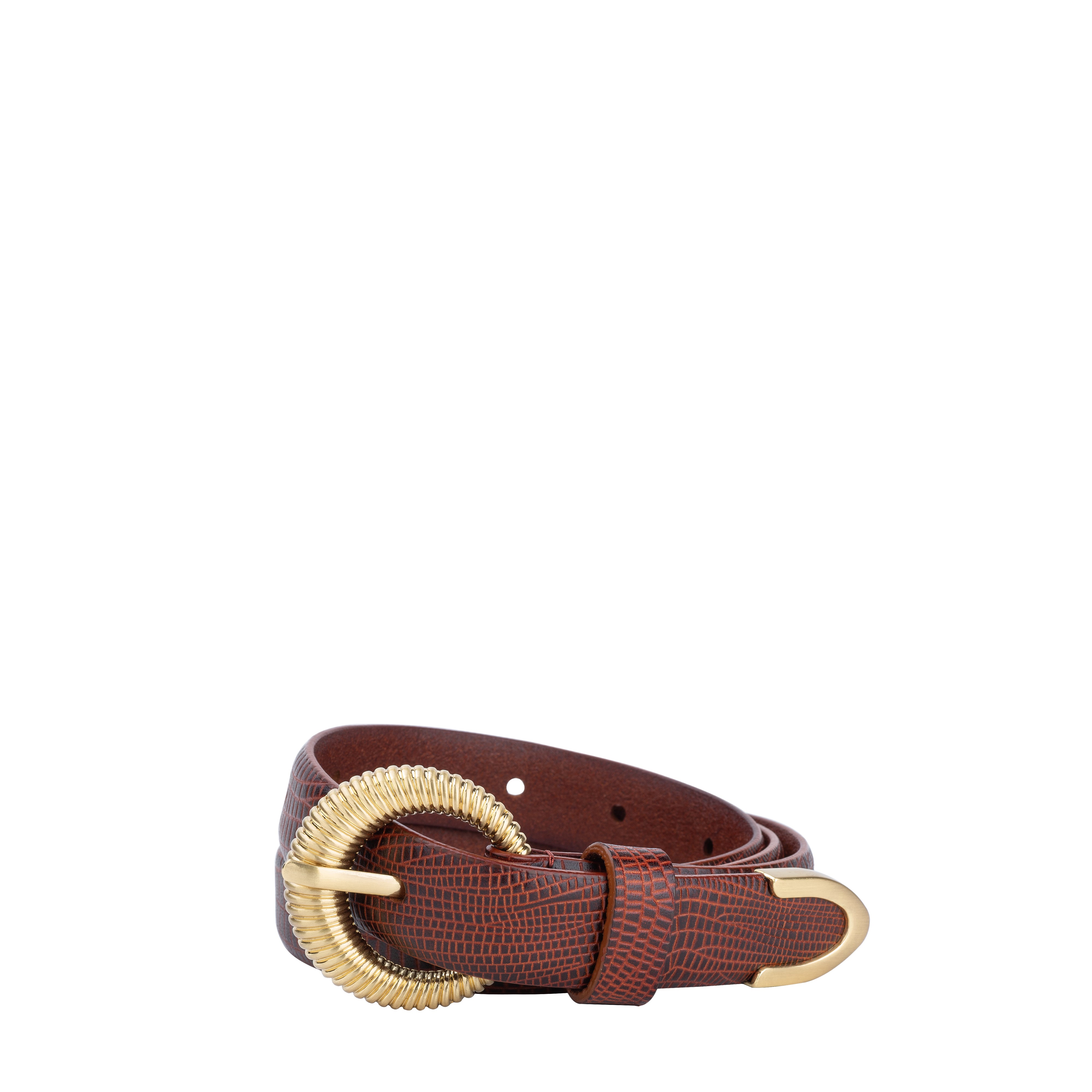THE LOTKA BELT