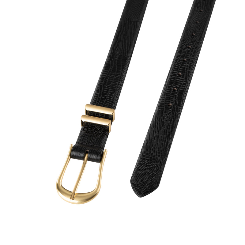 THE ANIKA BELT